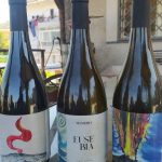 Bottiglie di Arte | Alfredo Troise